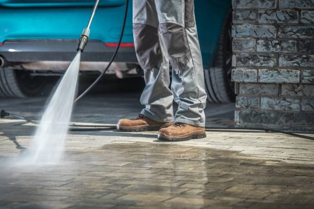 Best Winterizing Services  in Springfield, MN