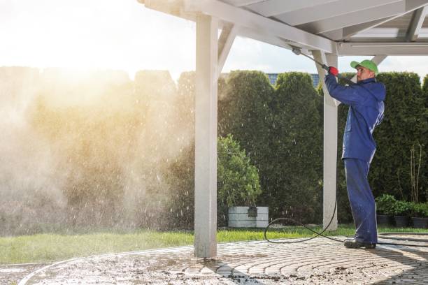 Best Restaurant Pressure Washing  in Springfield, MN