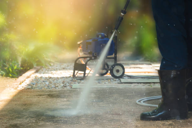 Best Driveway Pressure Washing  in Springfield, MN